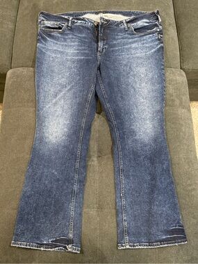 Silver Jeans Co. Plus Size Elyse Mid Rise Jeans, 24x31"